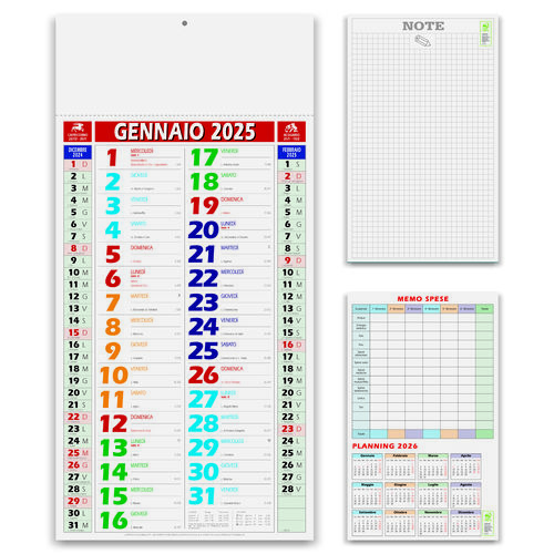 OLANDESE COLOR SHADED - MODELLO P