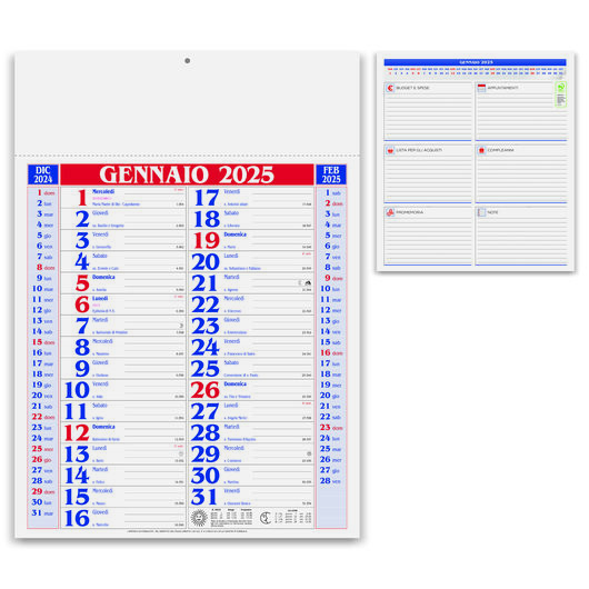 OLANDESE MEDIUM - MODELLO P